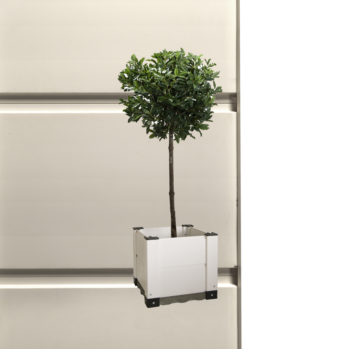 Fioriere Garofalo Firenze Fioriere Garofalo Firenze